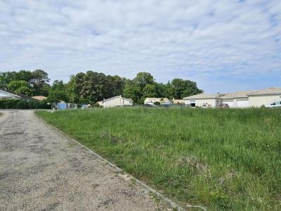 Annonce Vente Terrain Martillac 33