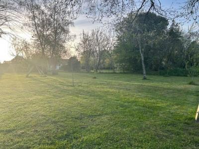 Annonce Vente Terrain Martillac 33