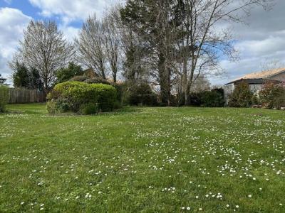 Annonce Vente Terrain Leognan 33