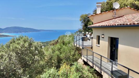 Annonce Vente 4 pi�ces Maison Olmeto 20