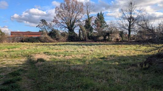 For sale Montbeton 3931 m2 Tarn et garonne (82290) photo 0
