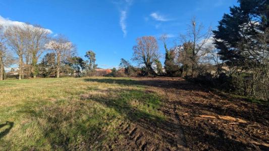 Annonce Vente Terrain Montbeton 82