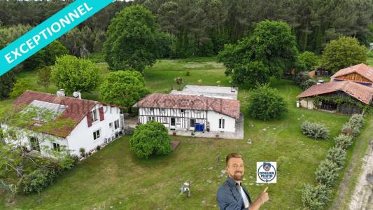 For sale Taller 12 rooms 330 m2 Landes (40260) photo 1