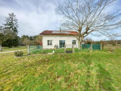 For sale Taller 12 rooms 330 m2 Landes (40260) photo 4