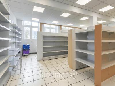 Acheter Maison Saint-nolff 295000 euros