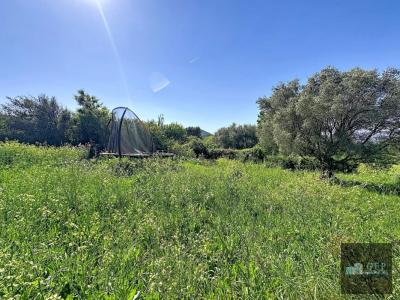 For sale Castellet 522 m2 Var (83330) photo 0