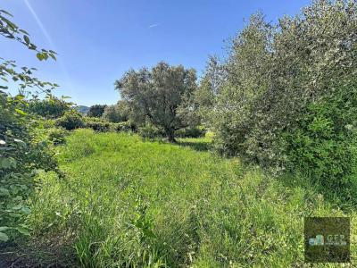Annonce Vente Terrain Castellet 83