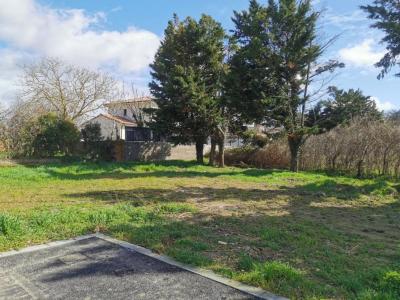 For sale Seysses 500 m2 Haute garonne (31600) photo 0