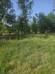 For sale Saint-selve 1500 m2 Gironde (33650) photo 0