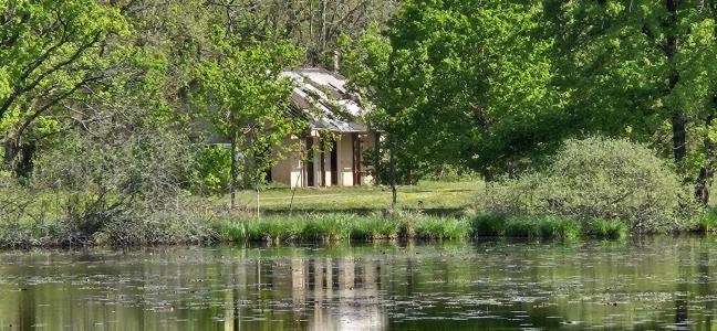 For sale Migne 32767 m2 Indre (36800) photo 0