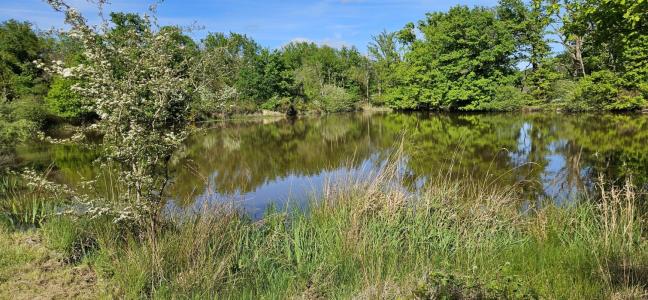 For sale Migne 32767 m2 Indre (36800) photo 2
