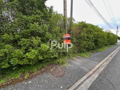 Annonce Vente Terrain Lievin 62