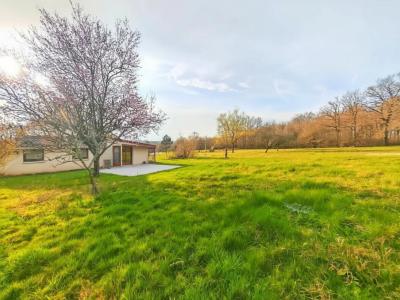 Annonce Vente 4 pi�ces Maison Levis 89