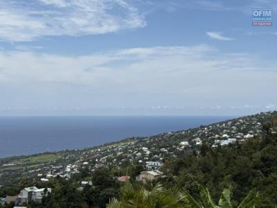 Annonce Vente Maison Etang-sale 974