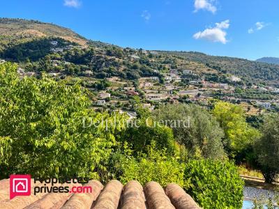 Annonce Vente 5 pi�ces Maison Falicon 06