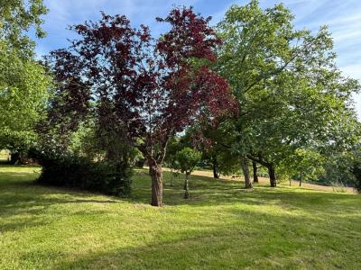Acheter Maison 107 m2 Plaisance