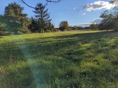 For sale Vorly 2859 m2 Cher (18340) photo 0