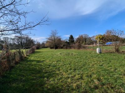 Acheter Maison 85 m2 Savenay