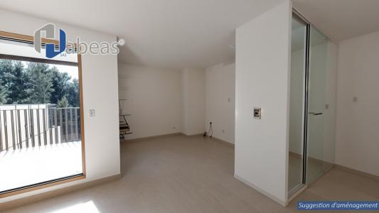 Acheter Appartement Thonon-les-bains 205000 euros