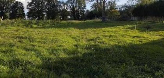 For sale Frouzins 500 m2 Haute garonne (31270) photo 0