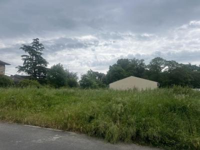 For sale Grisolles 498 m2 Tarn et garonne (82170) photo 0