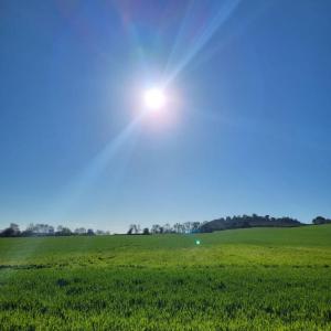 Annonce Vente Terrain Gardouch 31
