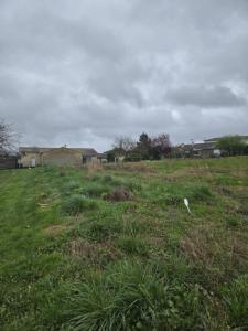 For sale Cerons 500 m2 Gironde (33720) photo 0