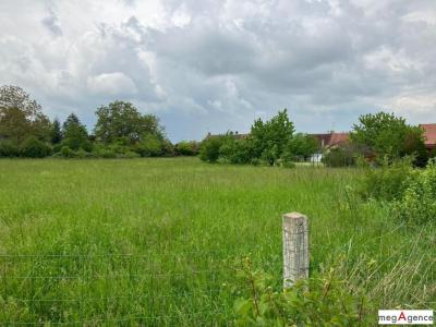Annonce Vente Terrain Saint-menoux 03