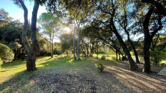 Annonce Vente Terrain  34