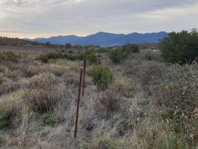 Acheter Terrain 9000 m2 Banyuls-dels-aspres