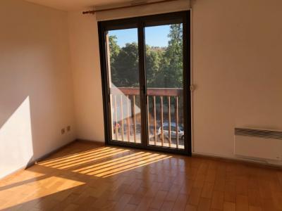 For rent Toulouse 2 rooms 44 m2 Haute garonne (31000) photo 0