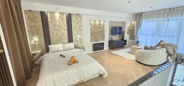 Acheter Appartement Villeurbanne 319000 euros