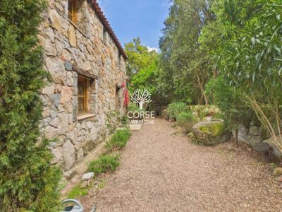 For sale Sotta 4 rooms 117 m2 Corse (20146) photo 0