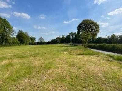 For sale Labastide-beauvoir 991 m2 Haute garonne (31450) photo 0