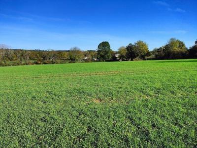 Acheter Maison Mauzac 236070 euros