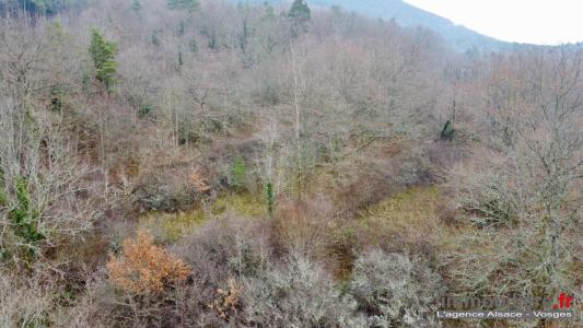 Annonce Vente Terrain Saint-die 88