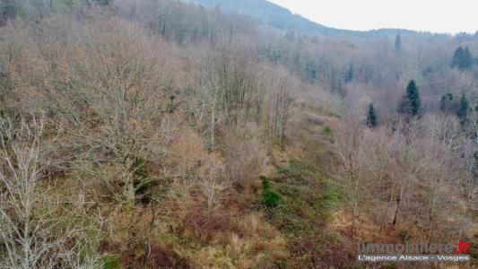 Acheter Terrain Saint-die Vosges