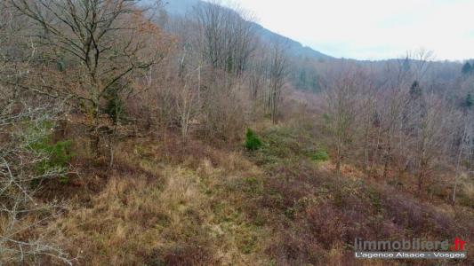 Acheter Terrain Saint-die 87200 euros