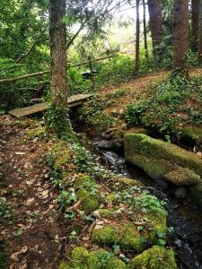 For sale 4 rooms 76 m2 Haute vienne (87310) photo 3