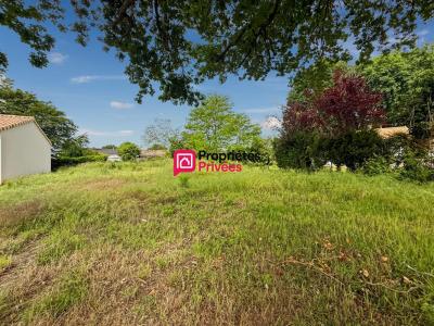 Annonce Vente Terrain Castelnau-de-medoc 33
