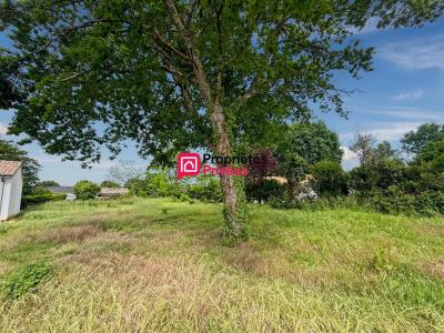 Acheter Terrain 515 m2 Castelnau-de-medoc