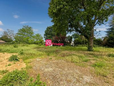 Acheter Terrain Castelnau-de-medoc 121000 euros