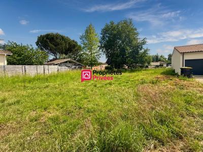 Annonce Vente Terrain Castelnau-de-medoc 33