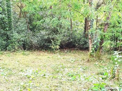 For sale Pessac 558 m2 Gironde (33600) photo 0