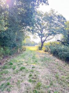 For sale Sarzeau 1001 m2 Morbihan (56370) photo 1
