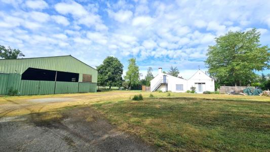 Annonce Vente 7 pi�ces Maison Brissac-quince 49