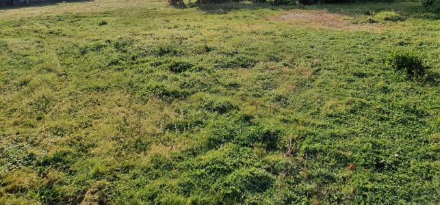 For sale Lacanau 900 m2 Gironde (33680) photo 0