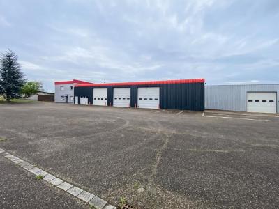 Acheter Immeuble 2100 m2 Wittenheim