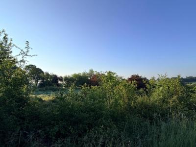 Annonce Vente Terrain Pompignac 33