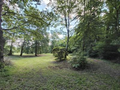 For sale Sadirac 2380 m2 Gironde (33670) photo 2